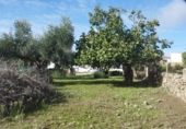 Urban land for sale on España, Aldea del Cano, ref: TR125668 photo