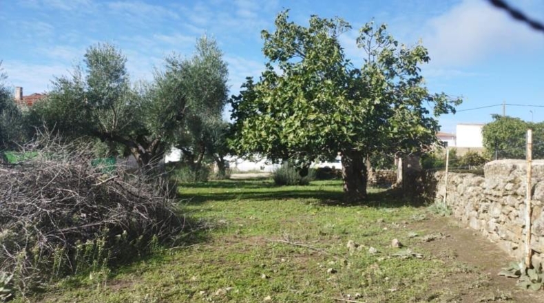 Cáceres - Aldea del Cano - 1100m2