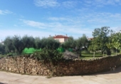 Urban land for sale on España, Aldea del Cano, ref: TR125668 photo