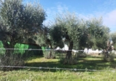 Urban land for sale on España, Aldea del Cano, ref: TR125668 photo