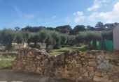 Urban land for sale on España, Aldea del Cano, ref: TR125668 photo