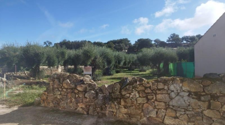 Cáceres - Aldea del Cano - 1100m2