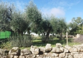 Urban land for sale on España, Aldea del Cano, ref: TR125668 photo
