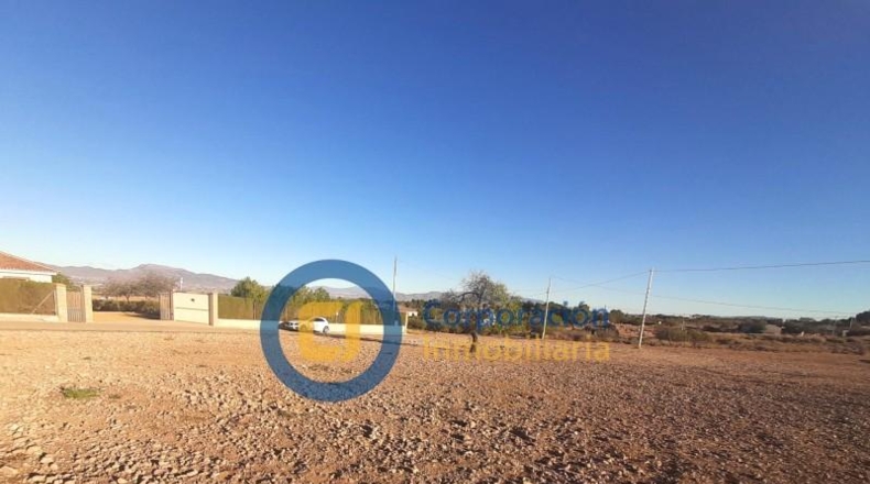 Múrcia - Lorca - 11000m2