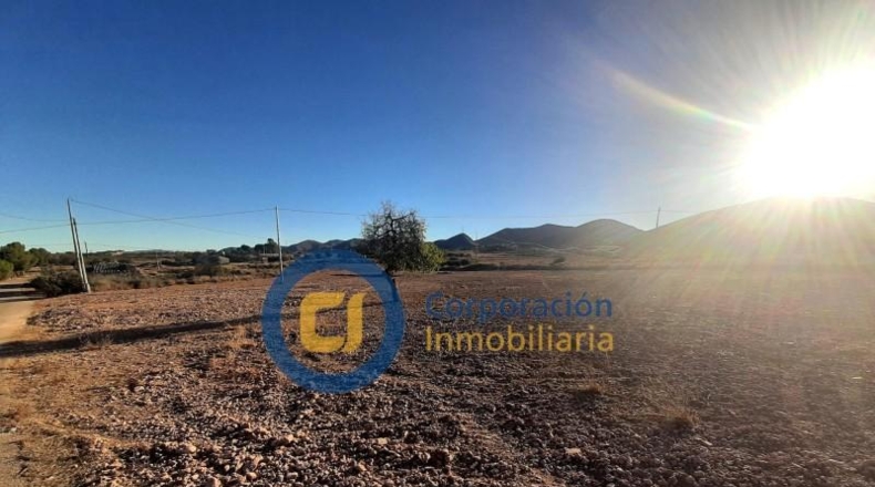 Múrcia - Lorca - 11000m2