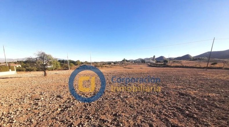 Múrcia - Lorca - 11000m2