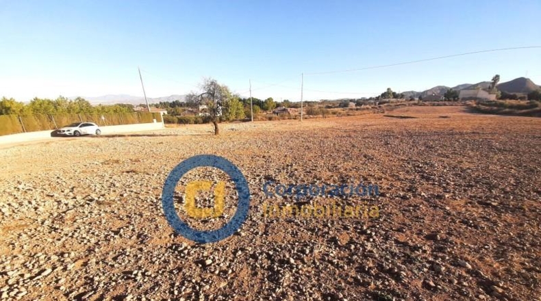 Múrcia - Lorca - 11000m2