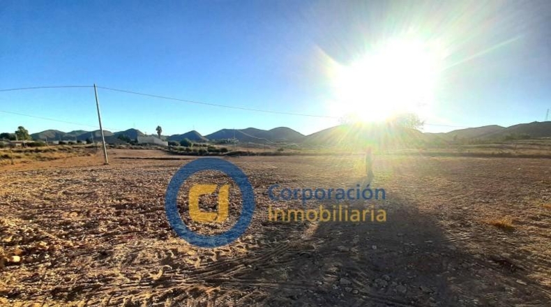 Múrcia - Lorca - 11000m2