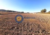 Земля на продажу у города Lorca Фото