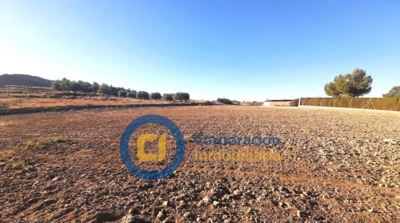 Múrcia - Lorca - 11000m2