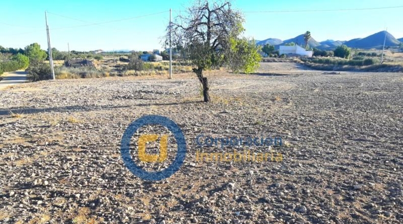 Múrcia - Lorca - 11000m2