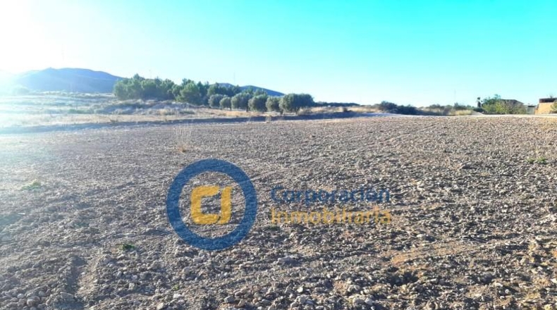 Múrcia - Lorca - 11000m2