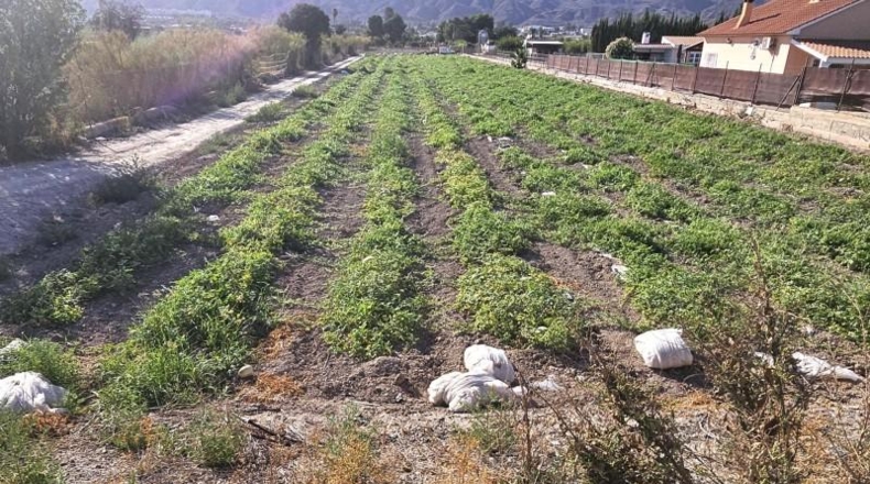 Murcia - Lorca - 9242m2