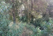 Sòl urbà en venda a la España, Vacarisses, ref.: TR248309 foto