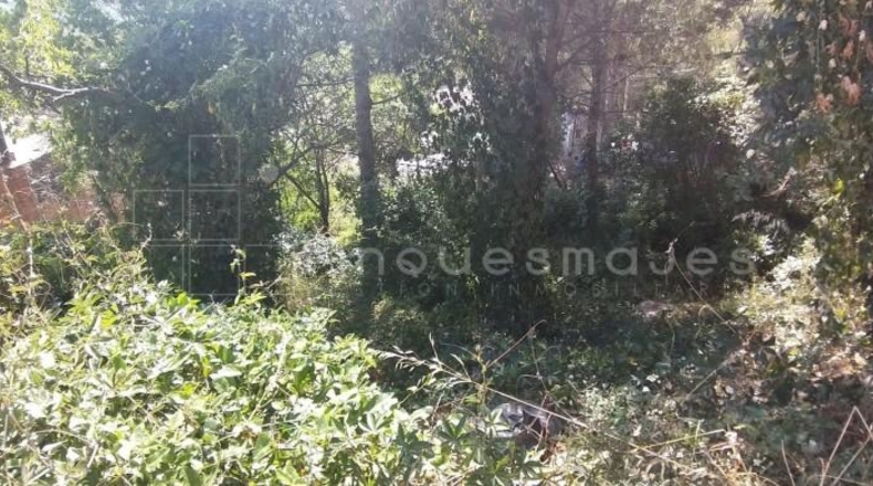 Barcelona - Vacarisses - 486m2