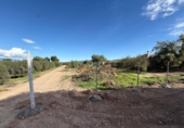 Non-developable land for sale on España, Lorca, ref: TR366192 photo