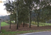 Parcel·la urbanitzable en venda a la España, O Porrinyo, ref.: TR363783 foto