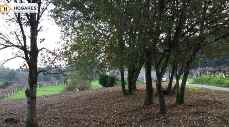 Pontevedra - Porriño - 1200m2