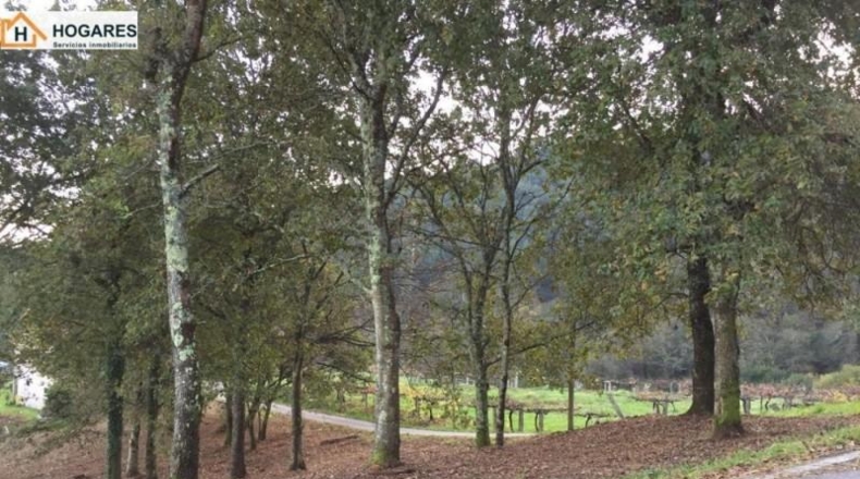 Pontevedra - Porriño - 1200m2