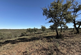 Berrocal 70804&nbsp;м²