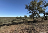 Земля на продажу у города Berrocal Фото