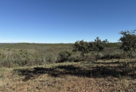 Berrocal 70804&nbsp;м²