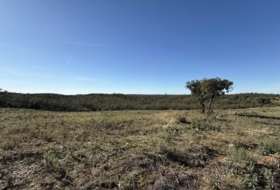 Berrocal 70804&nbsp;м²