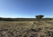 Земля на продажу у города Berrocal Фото