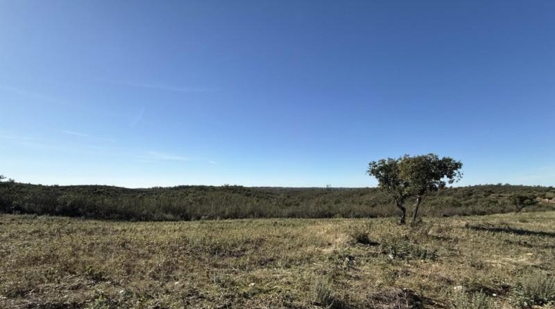 Segovia - Беррокаль - 70804m2