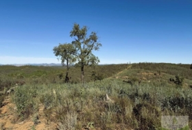 Berrocal 70804&nbsp;м²