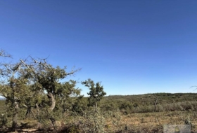 Berrocal 70804&nbsp;м²