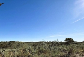 Berrocal 70804&nbsp;м²