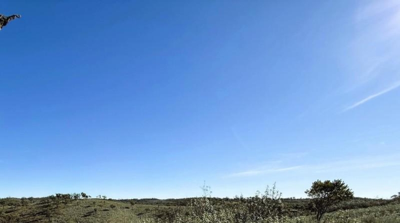Segovia - Беррокаль - 70804m2