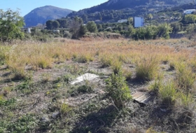 Pego 485&nbsp;m² 