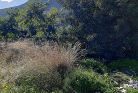 Pego 485&nbsp;m² 