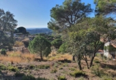 House with land for sale on España, Lloret de Mar, ref: TR309654 photo