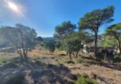 House with land for sale on España, Lloret de Mar, ref: TR309654 photo