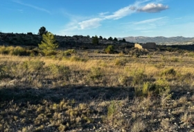 Foto 9