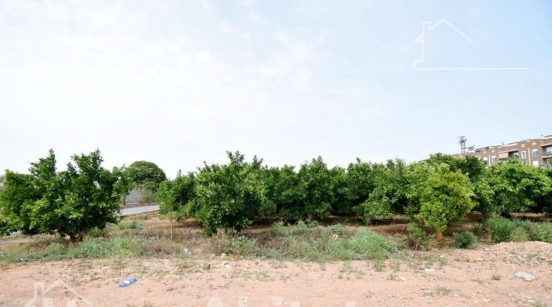 Castellón - Nules - 86m2