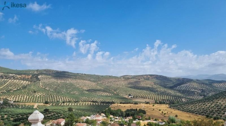Granada - Moclín - 553m2