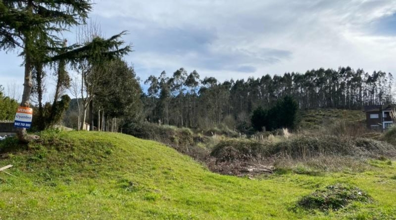 Cantabria - Solórzano - 6600m2