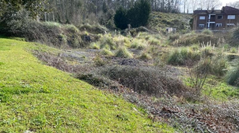 Cantabria - Solórzano - 6600m2