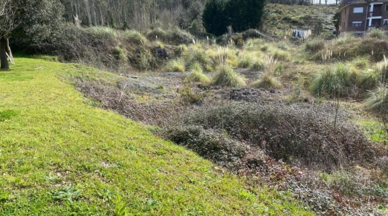 Cantabria - Solórzano - 6600m2