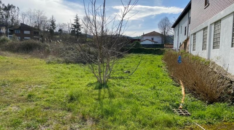 Cantabria - Solórzano - 6600m2