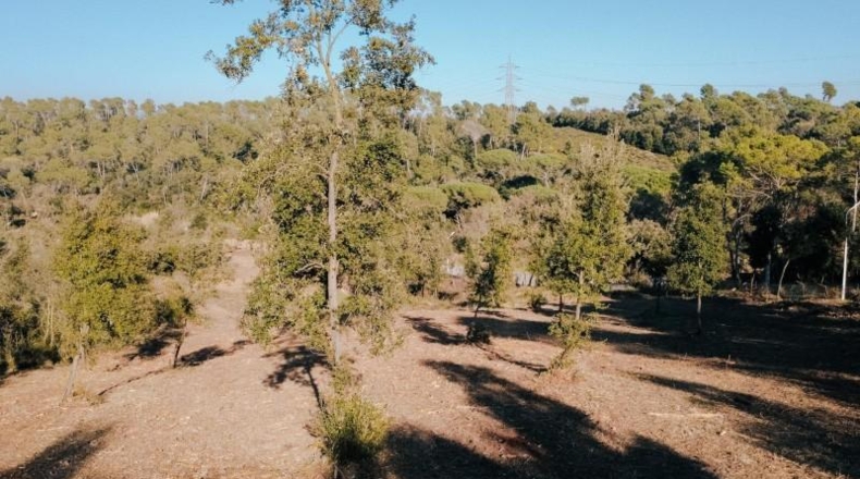Barcelona - Caldes de Montbui - 840m2
