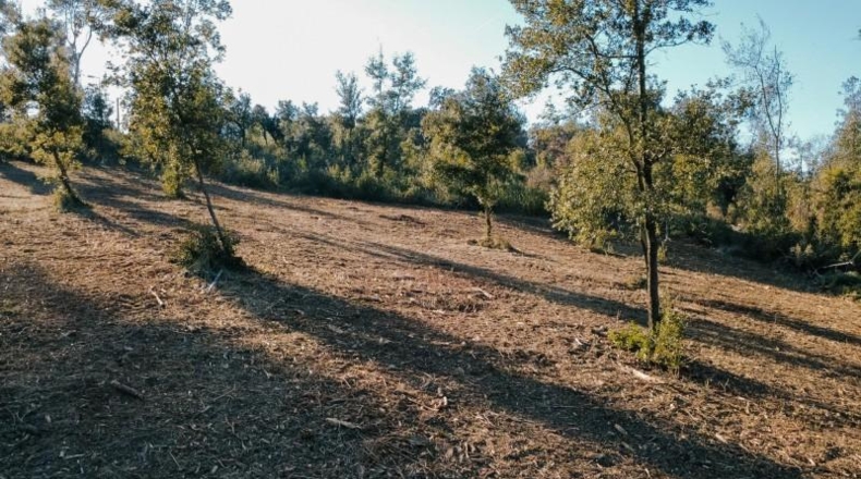 Barcelona - Caldes de Montbui - 840m2