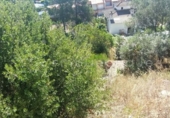 Sòl urbà en venda a la España, Vacarisses, ref.: TR250567 foto