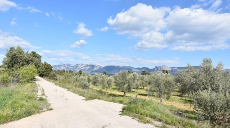 Teruel - Cretas - 68218m2
