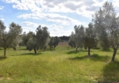 Xalet independent amb terreny en venda a la España, Queretes, ref.: TR147713 foto