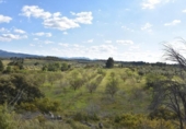 Xalet independent amb terreny en venda a la España, Queretes, ref.: TR147713 foto